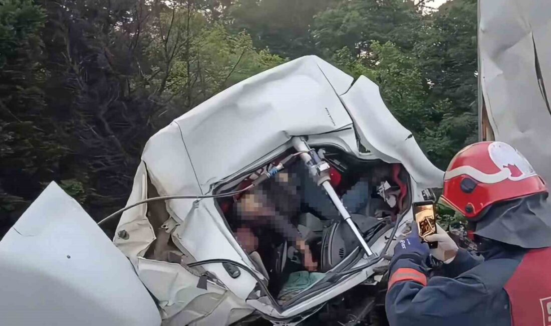 Anadolu Otoyolu Kocaeli geçişinde tıra arkadan çarpan kamyonun kağıt gibi