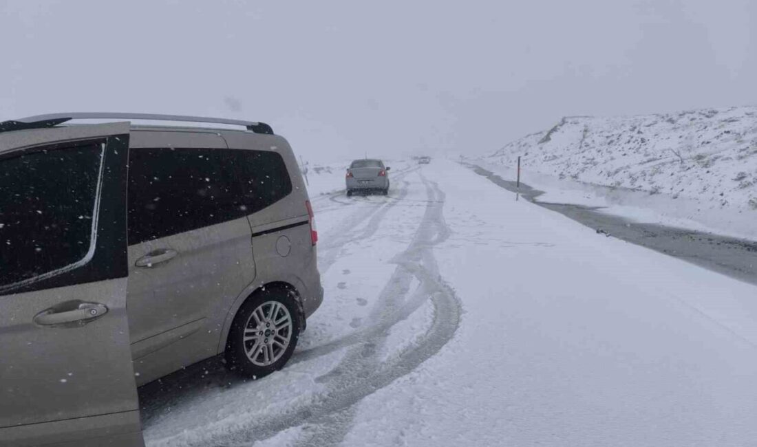 Erzurum ve çevresinde etkili olan kar yağışı sonrası Erzurum-Tekman karayolundaki