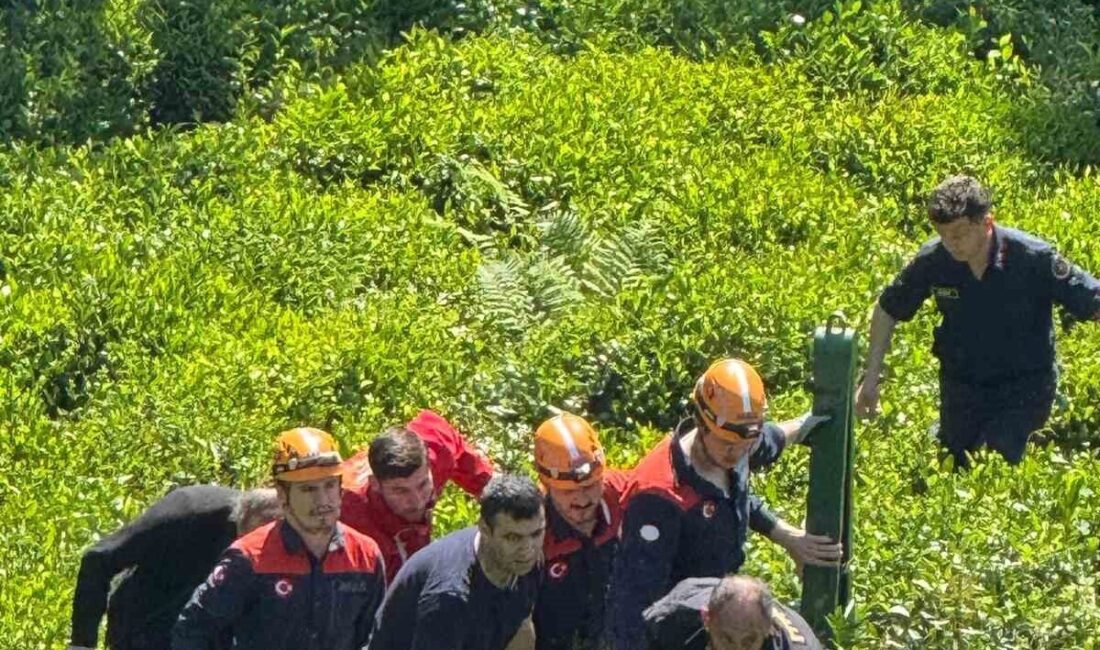 Rize’de çay bahçesinde çalıştığı sırada yamaçtan düşerek yuvarlanan ve bulunduğu