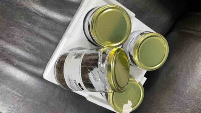 Uzun yıllar süren çalışmalar sonucunda bilimsel olarak desteklenmiş Türkiye’nin ilk