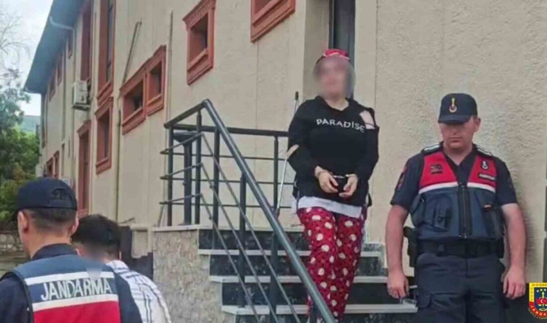 Sakarya’nın Sapanca ilçesinde satın alma bahanesiyle 65 yaşındaki adamın 4