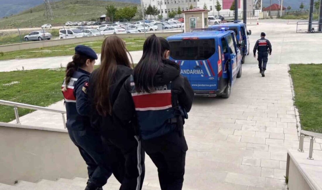 Kurdukları sahte araç kiralama siteleri vatandaşları yaklaşık 160 milyon TL