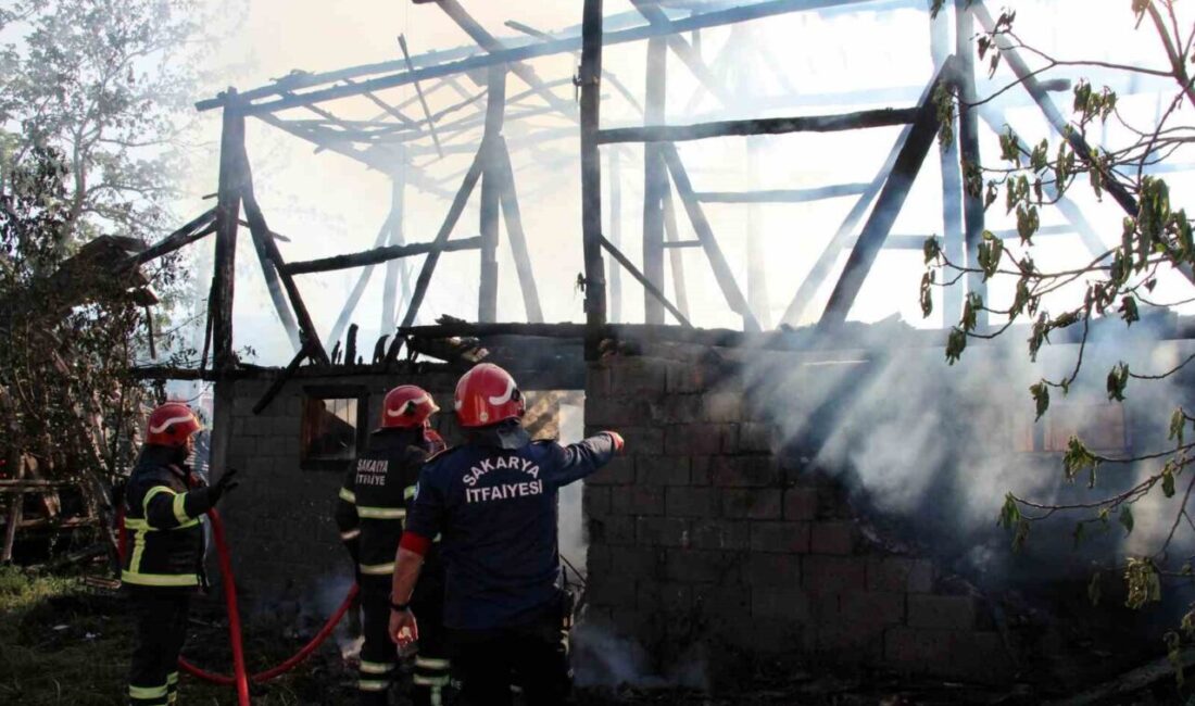 Sakarya’nın Akyazı ilçesinde alevlere teslim olan samanlık küle döndü. Yangın,