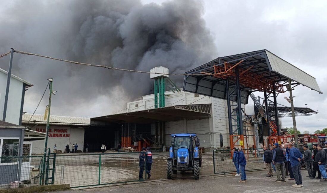 Sakarya’nın Karasu ilçesindeki fındık kırım fabrikasında yangın çıktı. Çok sayıda