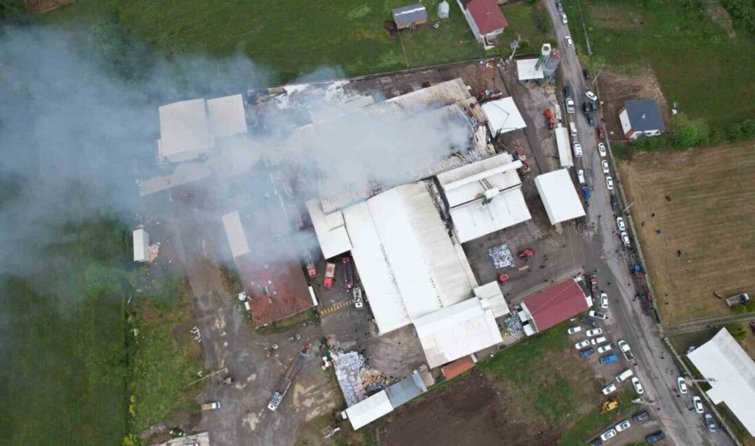 Sakarya’nın Karasu ilçesinde fındık kırım fabrikasında çıkan yangını söndürme çalışmaları
