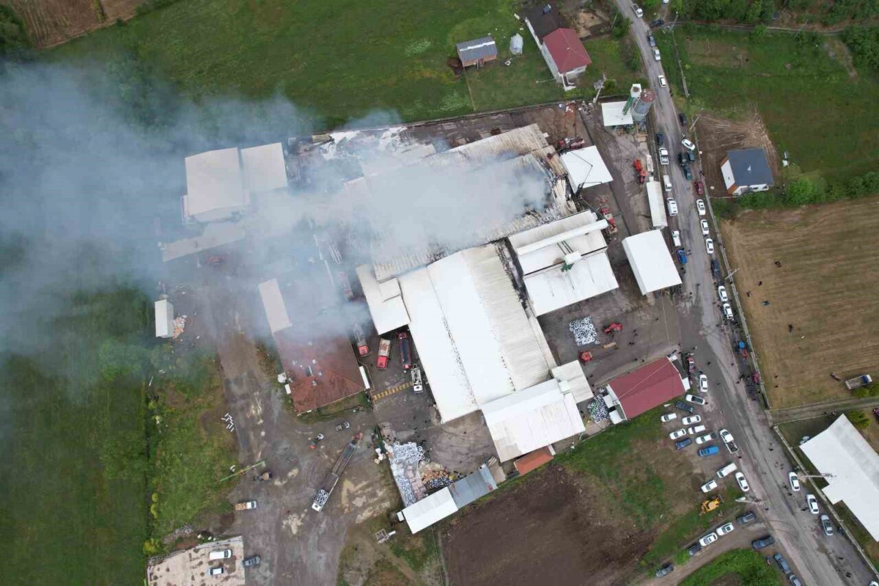 Sakarya’nın Karasu ilçesinde fındık kırım fabrikasında çıkan yangını söndürme çalışmaları