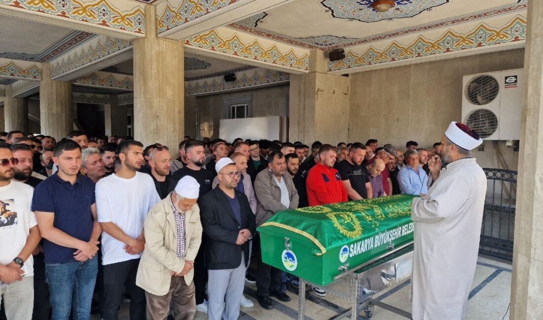 Sakarya’nın Pamukova ilçesi D-650 kara yolunda kamyonete adeta ok gibi