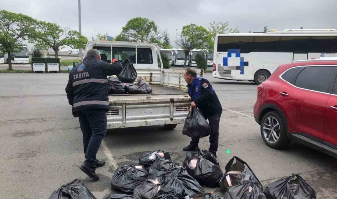 Samsun’un İlkadım Belediyesi Zabıta Müdürlüğü ekipleri, Samsun İl Sağlık Müdürlüğü