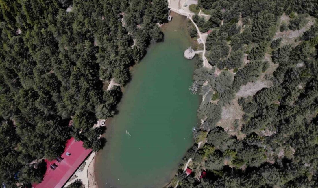 Gümüşhane’nin Torul ilçesinde yer alan ve doğaseverlerin uğrak noktası haline