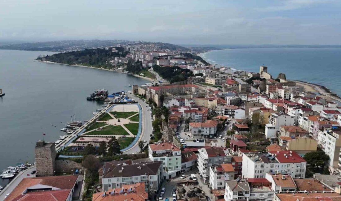 Orman yangınlarının önlenmesi amacıyla Sinop genelinde, ormanlık alanlara 1 Haziran-31