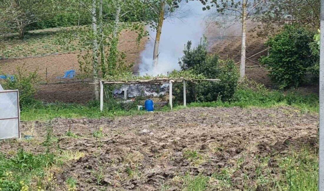 Sinop’ta bir tarladan yükselen dumanlar paniğe neden oldu. Olay, 13.50’de