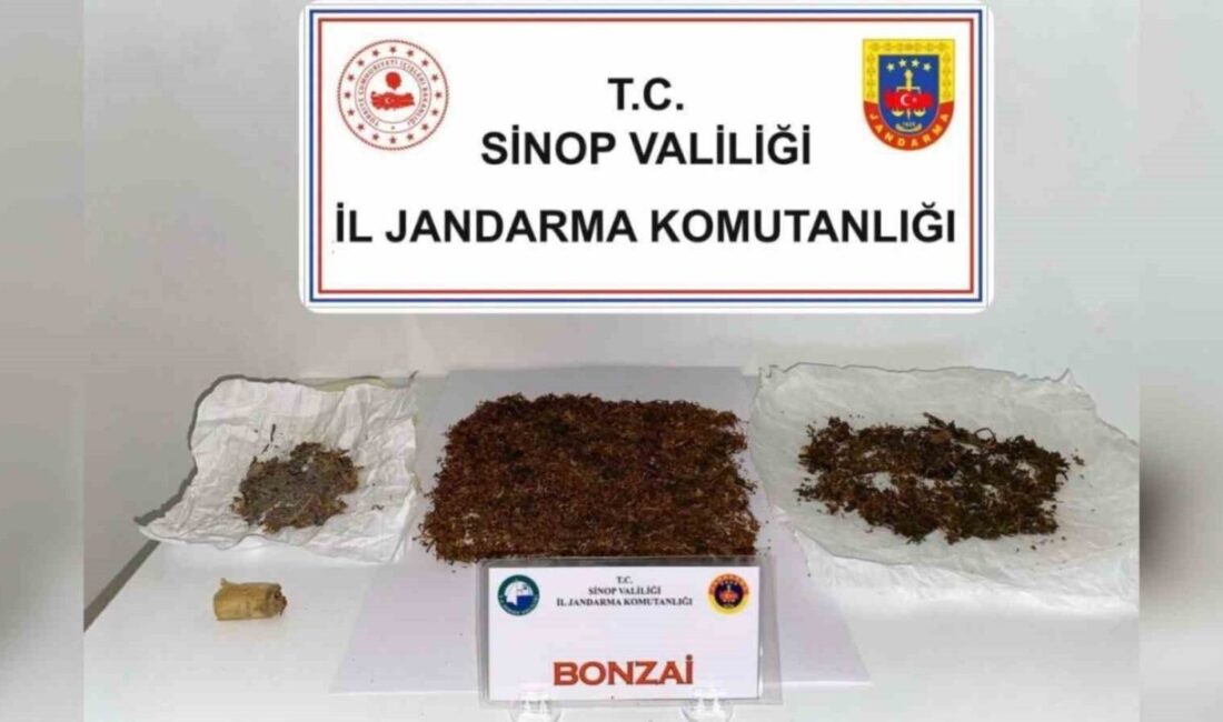 Sinop’un Boyabat ilçesinde düzenlenen operasyonda 30,25 gram bonzai ele geçirildi,