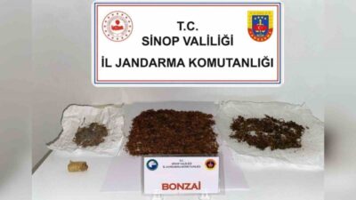 Sinop’un Boyabat ilçesinde düzenlenen operasyonda 30,25 gram bonzai ele geçirildi,