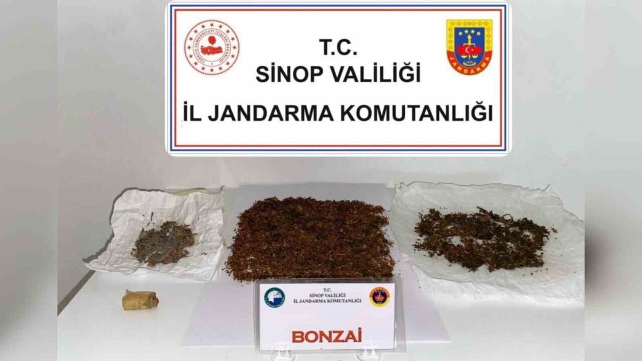 Sinop’un Boyabat ilçesinde düzenlenen operasyonda 30,25 gram bonzai ele geçirildi,