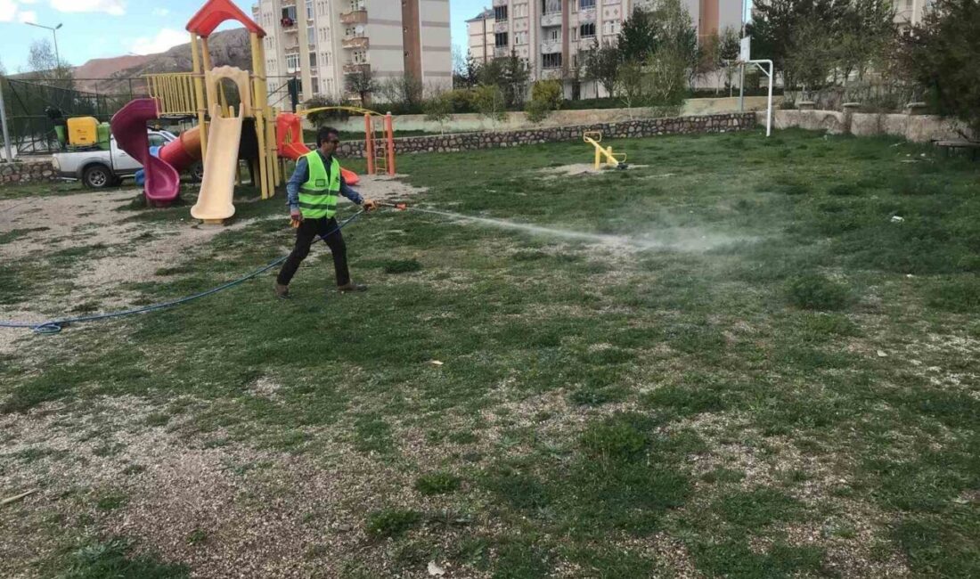 Bayburt Belediyesi sivrisinek ve haşerelere karşı ilaçlama çalışması gerçekleştiriyor. Bayburt