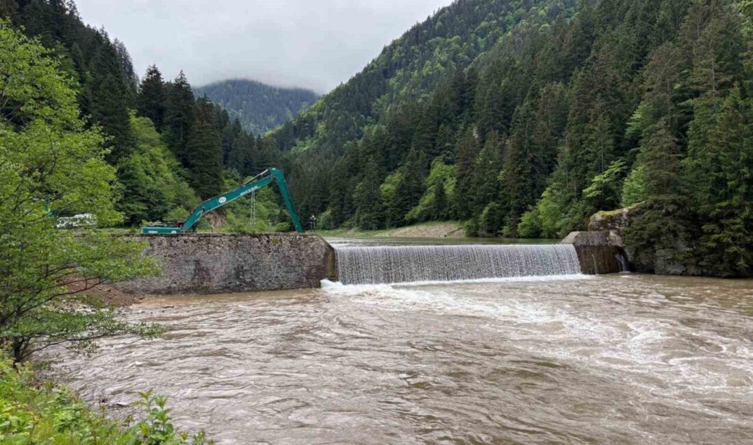 Trabzon’un Çaykara ilçesinin turizm merkezi Uzungöl’de bulunan Haldizen Deresi’ne 26