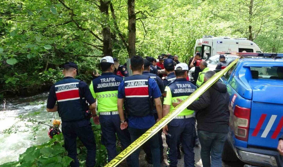 Trabzon’un Çaykara ilçesinin turizm merkezi Uzungöl’de bulunan Haldizen Deresi’ne 26