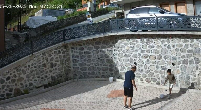 Trabzon’un Çaykara ilçesinin turizm merkezi Uzungöl’de su içmek isterken Haldizen