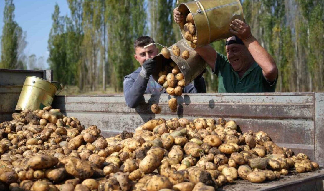 Tarım-GFE yıllık yüzde 29,73 arttı Tarımsal girdi fiyat endeksi (Tarım-GFE) yıllık yüzde 29,73 arttı, aylık