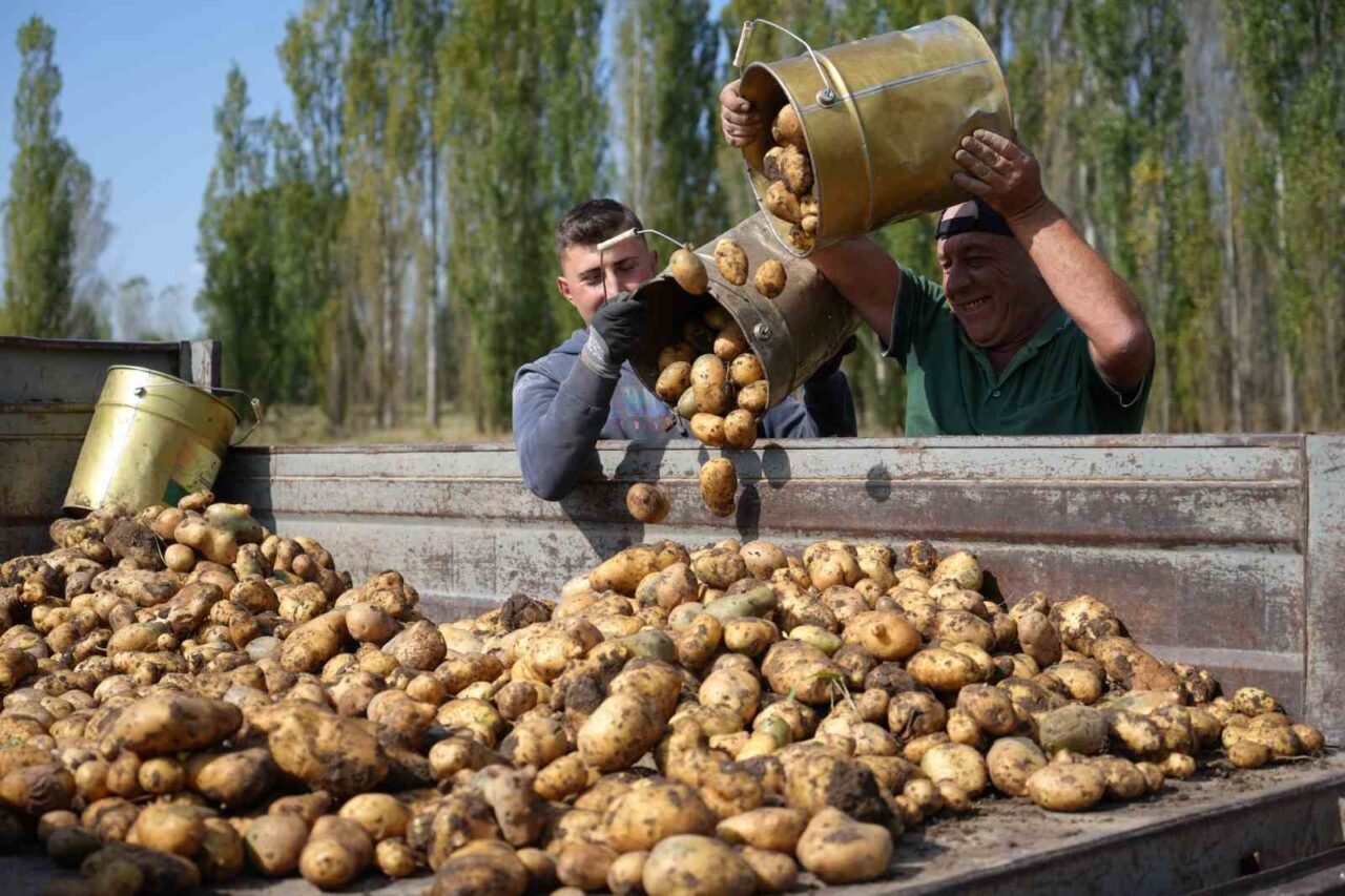 Tarımsal girdi fiyat endeksi (Tarım-GFE) yıllık yüzde 29,73 arttı, aylık