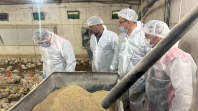 Erzincan’da hayvancılık sektörünün alt sektörlerinden biri olan broiler (etlik piliç)