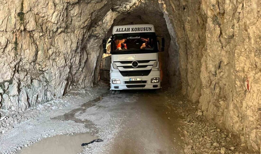 Erzincan’ın Kemaliye ilçesindeki tarihi Taş Yolu’nda tırın tünele sıkışması sonucu