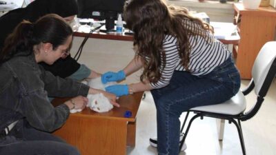 Evcil hayvanların kimliklendirilmesi ve kayıt altına alınması amacıyla başlatılan mikroçip