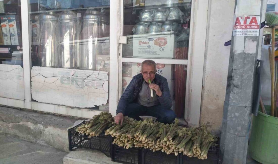 Doğu Anadolu Bölgesinin yüksek rakımlı yaylalarında doğal olarak yetişen, halk