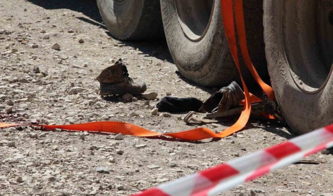 Sakarya’nın Akyazı ilçesinde devrilen tomrukların altında kalan 38 yaşındaki işçi,