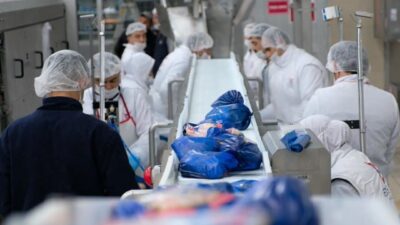 Sanayi, inşaat, ticaret ve hizmet sektörleri toplamında ciro endeksi, 2025