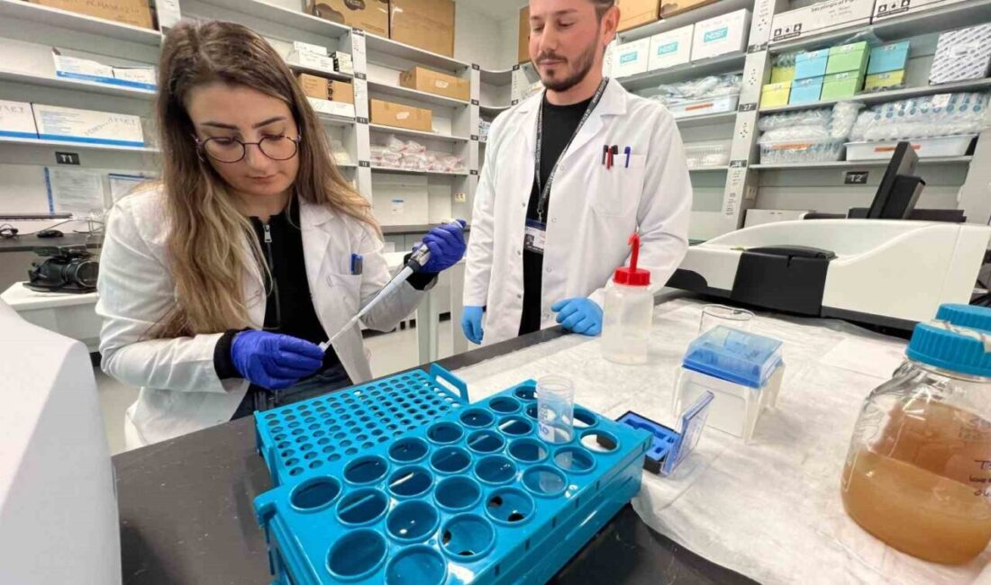 Karadeniz Teknik Üniversitesi’ndeki (KTÜ) bilim adamları akrep zehri üzerinde çalışma