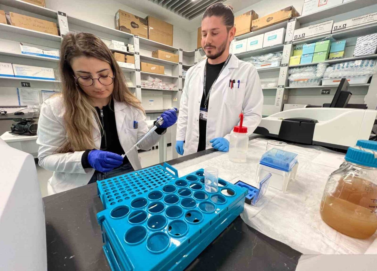 Karadeniz Teknik Üniversitesi’ndeki (KTÜ) bilim adamları akrep zehri üzerinde çalışma