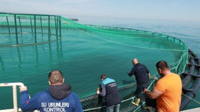 Trabzon’da ağırlıklı olarak Türk Somonu yetiştiriciliği yapılan 21 adet deniz