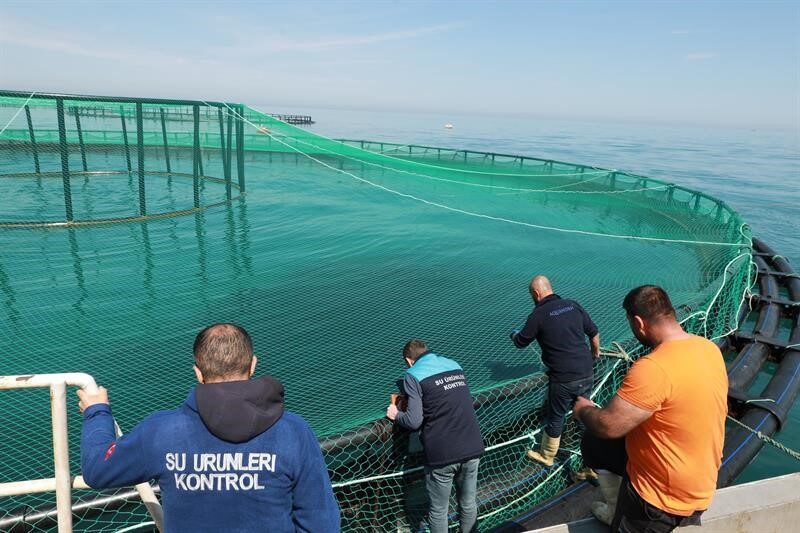 Trabzon’da ağırlıklı olarak Türk Somonu yetiştiriciliği yapılan 21 adet deniz