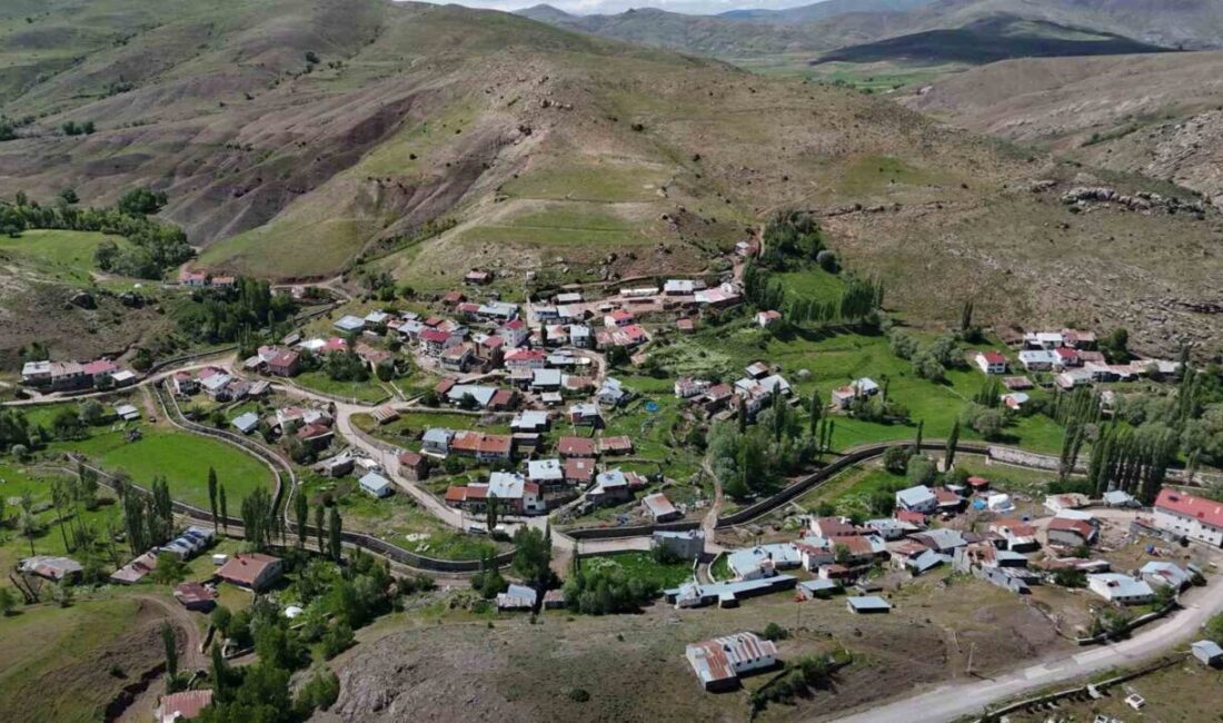 İç Anadolu Bölgesi’nin doğusu ve Karadeniz Bölgesi’nin güneyinde görülen keneler