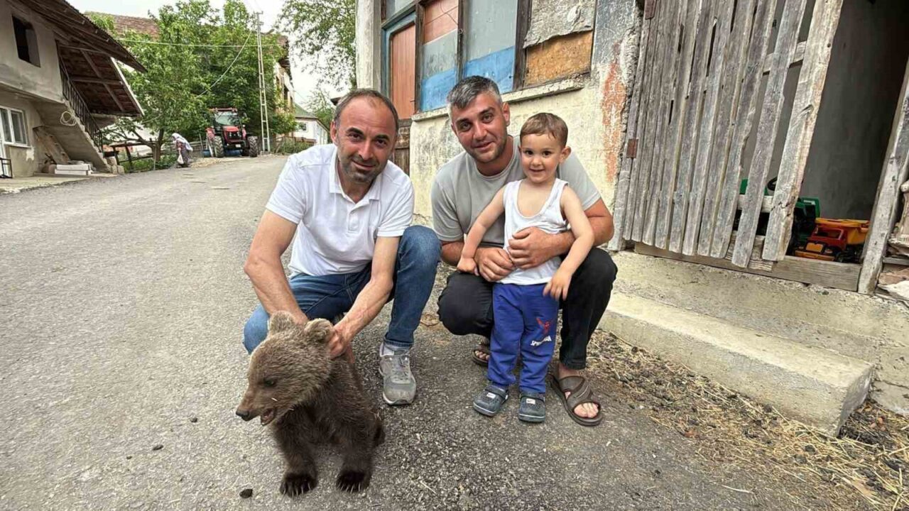 Sinop’un Türkeli ilçesine bağlı Satı köyünde doğada tek başına bulunan