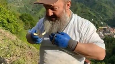 Yaklaşan çay sezonu öncesinde tarlasında bakım yapan Rizeli Ali Dilmaç,