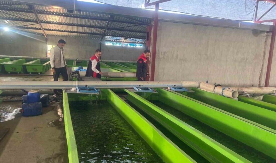 Erzincan merkeze bağlı Uluköy’de faaliyet gösteren su ürünleri tesisinde yılda