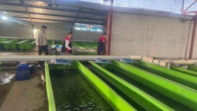 Erzincan merkeze bağlı Uluköy’de faaliyet gösteren su ürünleri tesisinde yılda