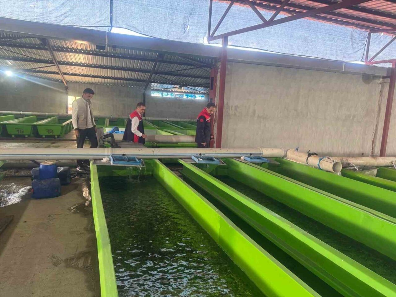 Erzincan merkeze bağlı Uluköy’de faaliyet gösteren su ürünleri tesisinde yılda