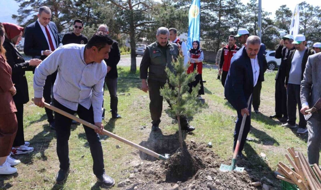 Erzincan’ın Üzümlü ilçesinde Engelliler Haftası kapsamında fidan dikimi etkinliği gerçekleştirildi.