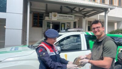 Gümüşhane’de jandarma ekiplerinin devriye sırasında fark ettiği yaralı tavşan tedavi