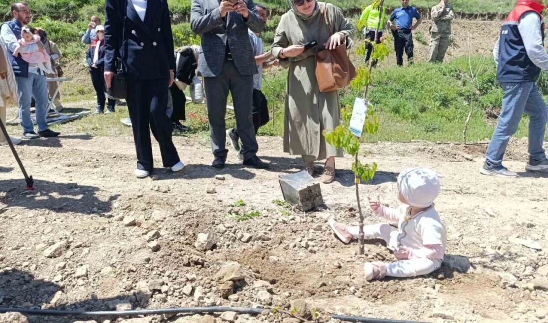 Tortum Kaymakamlığı ile Erzurum Aile ve Sosyal Hizmetler İl Müdürlüğü