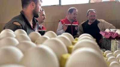 Erzincan’da Et ve Süt Kurumu Genel Müdürlüğü’nün kanatlı kombinasının kurulmasının