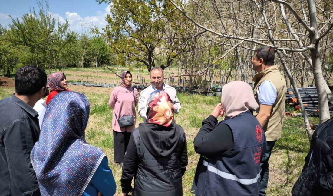Erzincan’da Mart ayı içerisinde meydana gelen zirai don zararının ardından