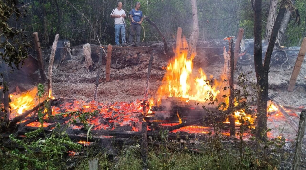 Zonguldak’ın Çaycuma ilçesine bağlı Yakademirciler köyünde bal üreticisine ait baraka