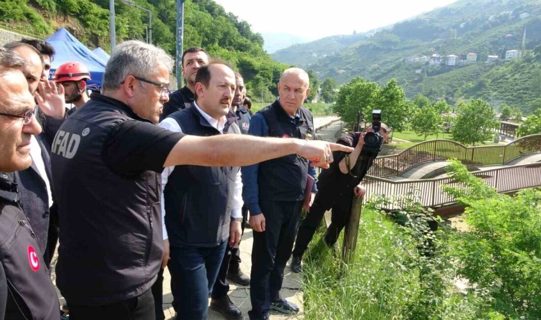 Afet ve Acil Durum Yönetimi Başkanlığı (AFAD) Başkanı Ali Hamza