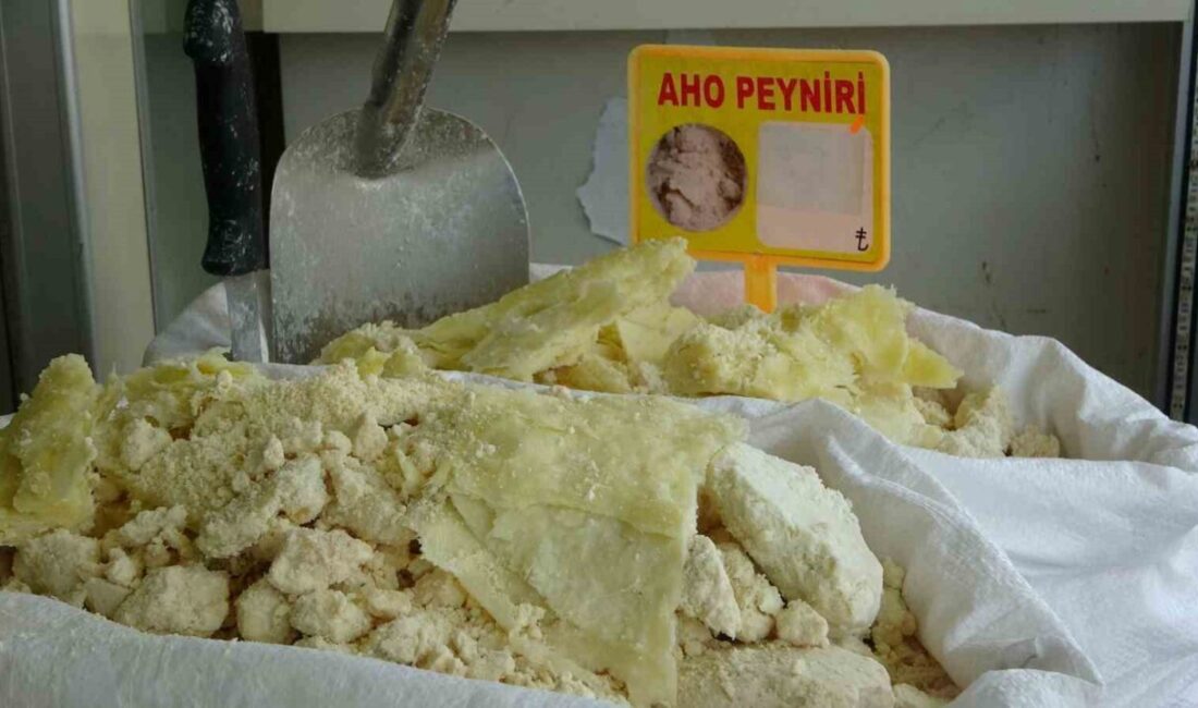 Trabzon’un Araklı ilçesine özgü yöresel lezzetlerden biri olan Aho peynirinin