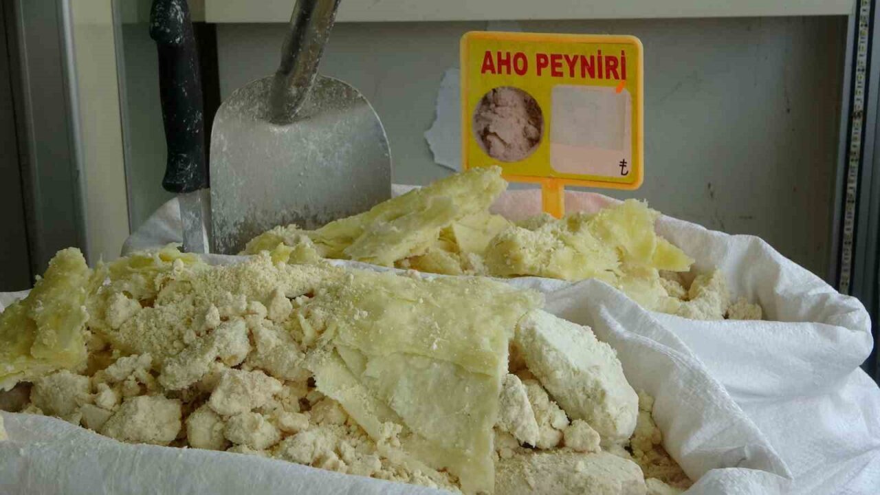 Trabzon’un Araklı ilçesine özgü yöresel lezzetlerden biri olan Aho peynirinin