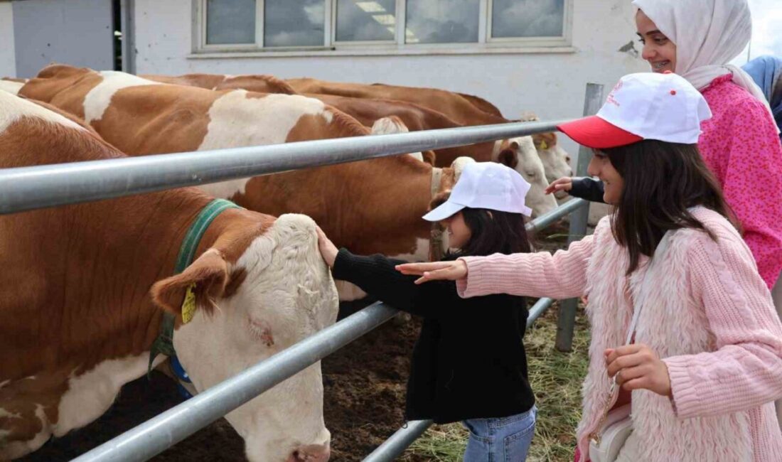 2025 Aile Yılı ve Süt Haftası etkinlikleri kapsamında Erzurum’da örnek
